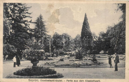 Sopron, Erzsébet kerti részlet (fa)