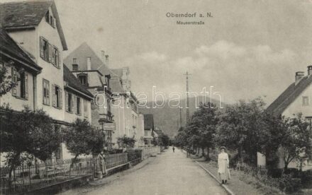 Oberndorf am Neckar, Mauserstrasse / street (EB)