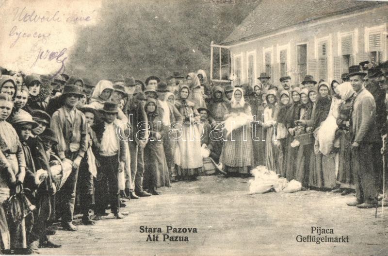 Ópazova, Ópazua, Stara Pazova; baromfi piaci csoportkép / Pijaca / Geflügelmarkt / Poultry market