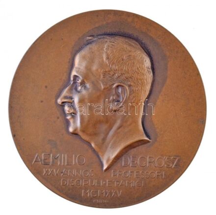 Kisfaludi Stróbl Zsigmond (1884-1975) 1925. 'Grósz Emil' egyoldalas Br plakett 'AEMILIO DE GRÓSZ XXV ANNOS PROFESSORI DISCIPULI ET AMICI MCMXXV' (80mm) T:2 patina