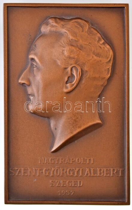 1937. 'Nagyrápolti Szent-Györgyi Albert - Szeged' egyoldalas Br plakett (81x50mm) T:1- patina
