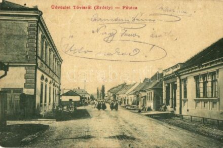 Tövis, Teius; Fő utca, Takarékpénztár, üzlet. W. L. (?) 1644. Klein Mihály kiadása / main street, savings bank, shops (fl)