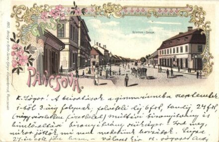 1899 Pancsova, Pancevo; Gromon utca, üzlet. Kohn Samu kiadása / Gromon Gasse / street, shop. Art Nouveau, floral, litho (EK)