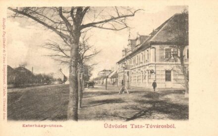 Tata, Tata-Tóváros; Esterházy utca. Kiadja Engländer és Társa