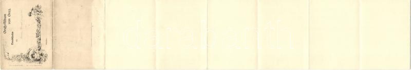 Graz. Leporellocard with 9 tiles. Postkarten-Verlag A.P.G. 458. (tears) - Image 2