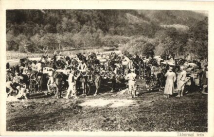 Táborozó trén (málhás szekerek menetoszlopa és legénysége). Érdekes Újság kiadása / WWI K.u.k. train (packed carriages)