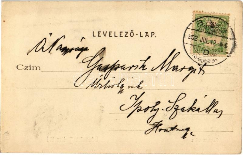 1902 Palics, Palic (Szabadka, Subotica); Gonnen villa / villa (EK) - Image 2