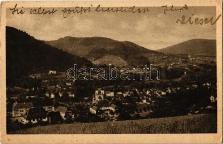 Baden-Baden, general view (EK)