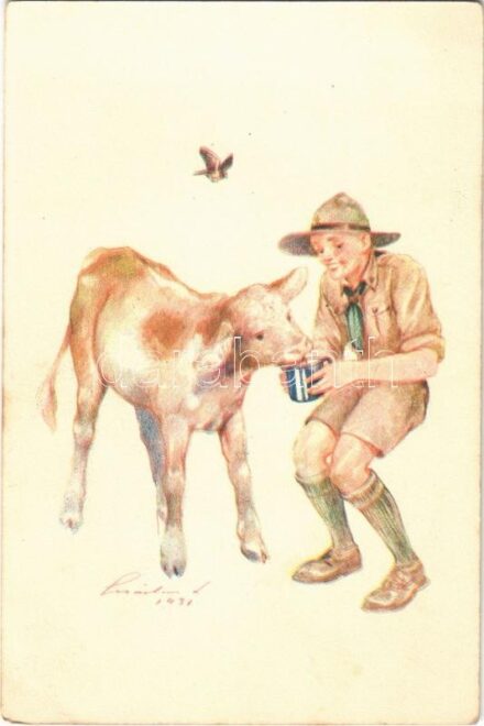 A cserkész szereti a természetet, jó az állatokhoz. A Magyar Cserkészszövetség kiadása / Hungarian boy scout art postcard, cow s: Márton L.