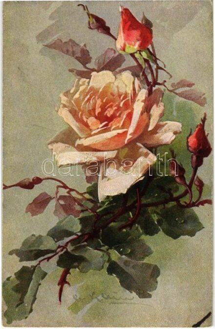 Edle Rosen. Wohlgemuth & Lissner Kunstverlag No. 378. s: C. Klein