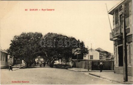 Dakar, Rue Canard / street view