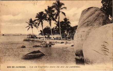 Rio de Janeiro, Ile de Paqueta (Baie de Rio de Janeiro) / Paqueta Island, bay, seashore, coast, palm trees (fl)
