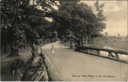 Rio de Janeiro, Parc de 'Boa Vista' / park, road. A. Zoller editeur
