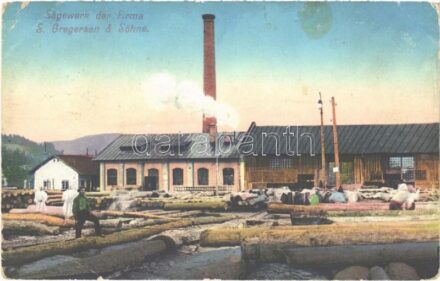 1918 Zavidovici, Sägewerk der Firma S. Gregersen & Söhne / sawmill, logs, workers + 'Kriegsgefangenen Arbeitabteilung Nr. 206.' 'K.U.K. ETAPPENPOSTAMT 267' (EK)