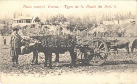Types de la Russie du Sud. 74. / South Russian folklore, man with ox cart. Phototypie Scherer, Nabholz & Co. (EK)