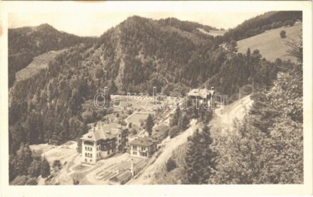 Gösing an der Mariazellerbahn (Puchenstuben), Hotel Gösing, Teilansicht von Hotelgebäuden und Park (fl)