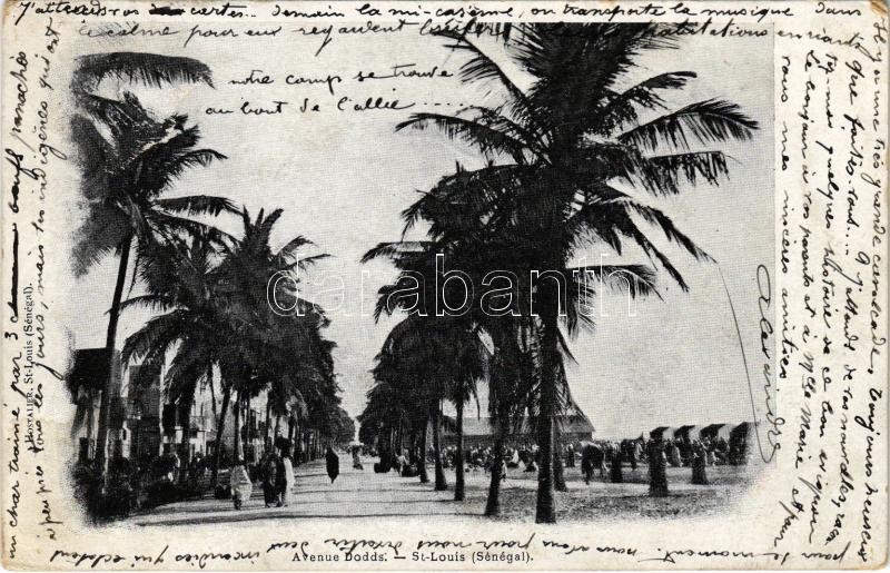 Saint Louis, Avenue Dodds / promenade (Rb)