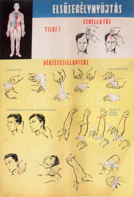 cca 1950 Elsősegélynyújtás. Sebellátás, Vérzéscsillapítás, propaganda plakát,Bp., Belügyminisztérium Polgári Védelem Országos Parancsnoksága Kiképzési Osztálya (BM PVOP Kik. O.), Offset (6000 példány), kis szakadásokkal,