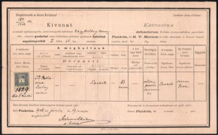 Pankota 1908 Halotti anyakönyvi kivonat
