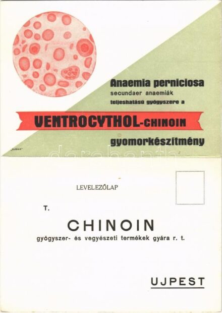 Ventrocythol Chinoin gyomorkészítmény. Chinoin gyógyszer- és vegyészeti termékek gyára r.t. Újpest. Kihajtható reklámlap / Hungarian medicine advertisement card. folding card (fl)