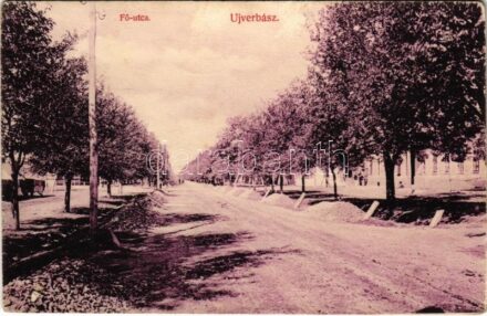 1908 Újverbász, Novi Vrbas (Verbász, Vrbas); Fő utca / main street (EK)