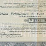 Egyiptom 1906. 'Egyiptomi Cukorfinomító Vállalat' részvénye 100Fr-ról francia nyelven, szelvényekkel T:III kis szakadás Egypt 1906. 'Egyptian Sugar-refinery Company' stock about 100 Francs in French with coupons C:F small tear - Image 2