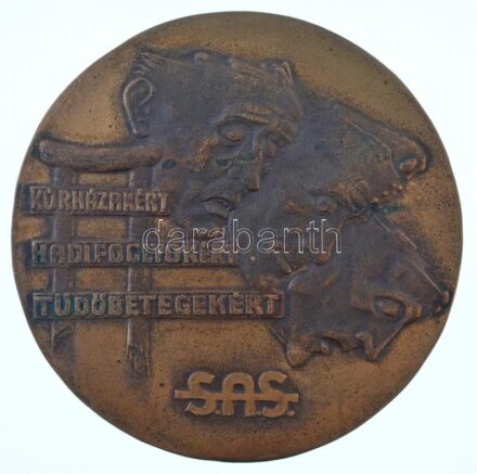 DN 'Kórházakért - Hadifoglyokért - Tüdőbetegekért - SAS (Siess-Adj-Segíts)' egyoldalas, öntött bronz plakett (149mm) T:1-