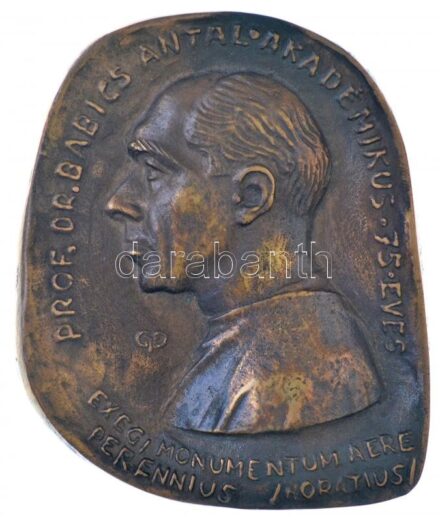 Győry Dezső 1977. 'Prof. Dr. Babics Antal akadémikus 75 éves - Exegi monumentum aere perennius /Horatius/' egyoldalas, öntött Br plakett (125x105mm) T:1- / Hungary 1977. 'Babics Antal, Prof., Dr., Academician is 75 years old' one-sided, cast