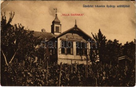 Újvidék, Novi Sad (?); Üdvözlet Ivkovics György szőlőjéből. Villa Darinka / villa, vineyard (EK)