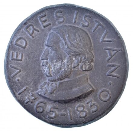 DN 'Vedres István 1765-1830' egyoldalas, öntött fém emlékérem, hátoldalon rögzítéshez szolgáló csavarmenettel(?) (118mm) T:2
