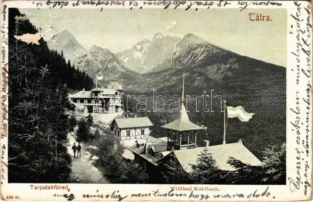 Tátra, Vysoké Tatry; Tarpatakfüred. Feitzinger Ede 489. Kr. 1902/12. / Wildbad Kohlbachtal (felszíni sérülés / surface damage)
