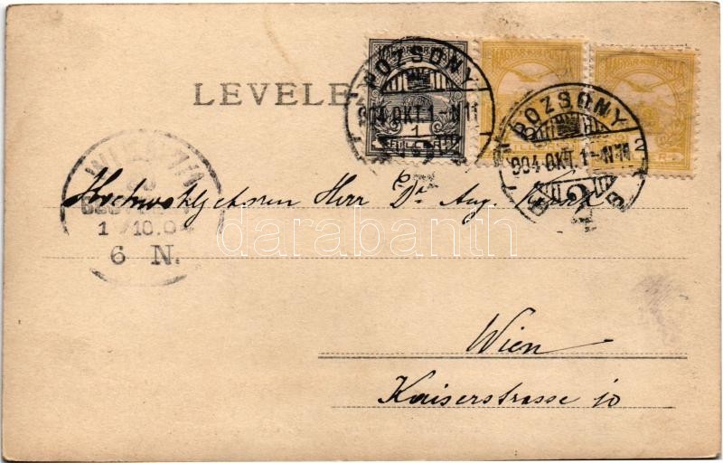 1904 Pozsony, Pressburg, Bratislava; Üdvözlet. Neffe J. kiadása / Greeting - Image 2