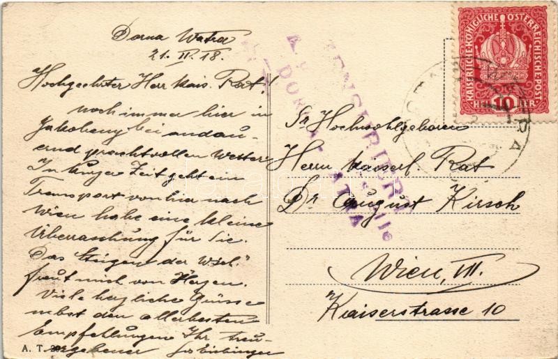 1918 Vatra Dornei, Dornavátra, Bad Dorna-Watra (Bukovina); Springbrunnen im Park / fountain - Image 2