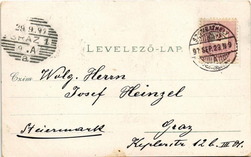 1897 (Vorläufer) Szombathely, Steinamanger; Székesegyház, Fő tér, Vármegyeház, színház, városháza. Özv. Fekete Istvánné No. 736. szőlő, Art Nouveau, floral, litho (EK) - Image 2