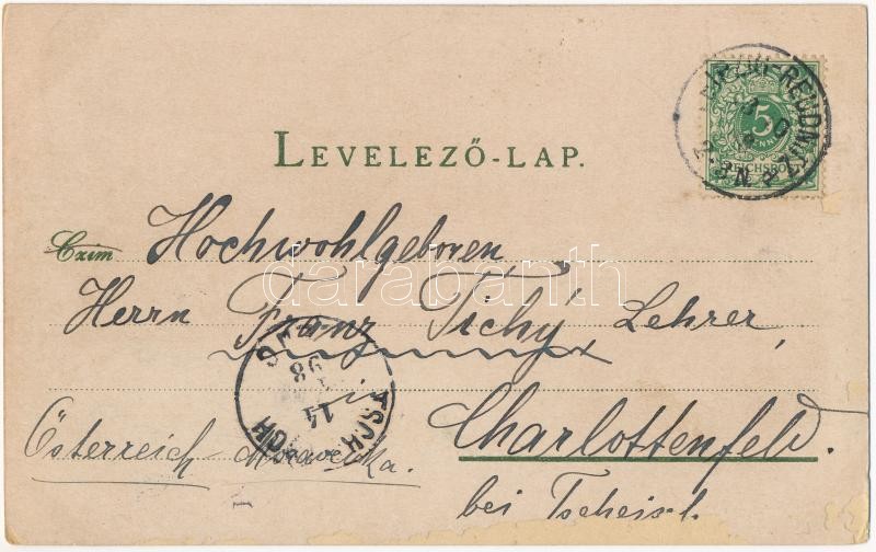 1898 (Vorläufer) Sepsiszentgyörgy, Sfantu Gheorghe; Fiú árvaház, Vármegyeház, Szabadság tér, Székely Mikó kollégium. Benkő M. kiadása / boy orphanage, county hall, boarding school, square. Art Nouveau, floral, litho (EK) - Image 2