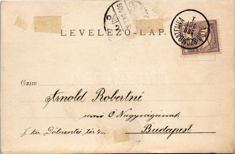 1900 Alsószombatfalva, Alsó-Szombatfalva, Sambata de Jos; Brukenthal kastély, ötös fogatú virágokkal díszített lovashintó / castle, horse chariot decorated with flowers. photo (EK) - Image 2