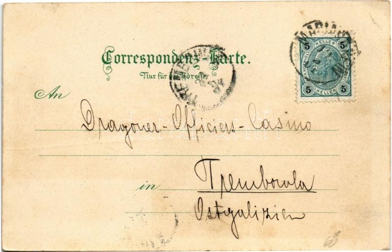 1901 Bohosudov, Mariaschein (Krupka, Graupen); v. Calvarienberg. Paul Glöditsch No. 5122. litho (EK) - Image 2