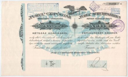 Temesvár 1917. ' 'Turul' Czipőgyár Részvénytársaság, Temesvár' részvénye 200K-ról, német és magyar nyelven, bélyegzésekkel, néhány szelvénnyel T:I- / Hungary / Temesvár 1917. ' 'Turul' Shoe Factory Share Company, Temesvár' share
