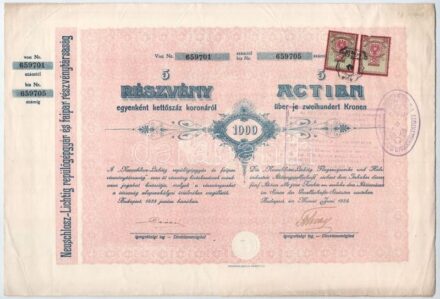 Budapest 1923. 'Neuschlosz-Lichtig Repülőgépgyár és Faipari Részvénytársaság' 5db részvénye egyben, összesen 1000K-ról szelvényekkel, szárazpecséttel, elővételi jog gyakorlásáról szóló felülbélyegzéssel,