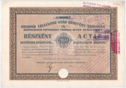 Budapest 1923. 'Brassói Cellulose-Gyár-Részvény-Társaság' részvénye 2000K-ról szelvényekkel, német és magyar nyelven bélyegzésekkel, szelvényekkel T:I- / Hungary / Budapest 1923. 'Brasov Cellulose Factory Share Company' share about