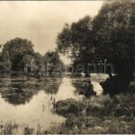 Bellye, Bilje; megáradt Halász tó / flooded lake. photo