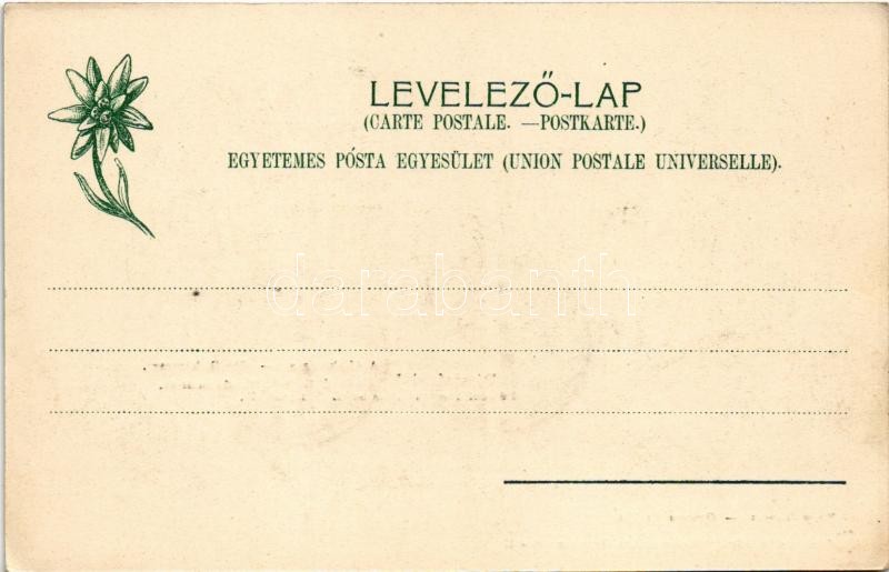 Deménfalu, Demanová (Liptószentmiklós, Liptovsky Mikulás); Üdvözlet a deményfalvi jégbarlangból. Nagy jégesés, Jég kamara. Feitzinger Ede Ps. 663. 1904-14. / Demanovská ladová jaskyna / ice cave interior - Image 2