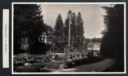 cca 1910 Marilla Subalpin Magaslati Gyógyhely Sanatorium. Ideg- és nem tuberkulotikus légzőszervi betegek részére. Bp., én., Hornyánszky V.-ny. 1 sztl. lev.+6 (táblánként két fekete-fehér fotóval, összesen 12 fotó) sztl. lev.