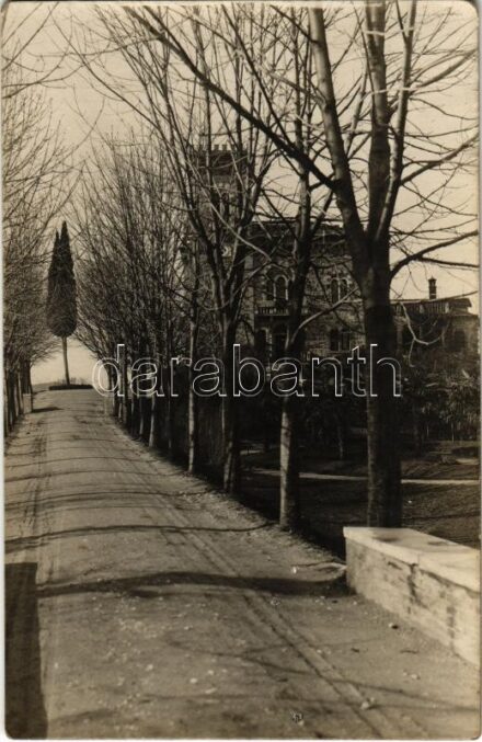 1918 Tarzo, Castello / castle. photo