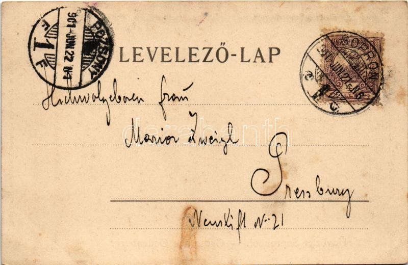 1901 Sopron, Oedenburg; Neuhof, park és pavilon. L. Kummert No. 147. (EK) - Image 2