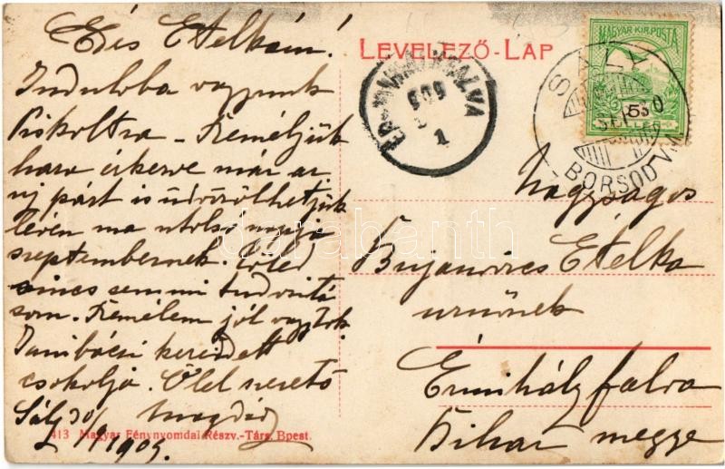 1905 Sály, Gorove és Báró Heccendorf kastély - Image 2