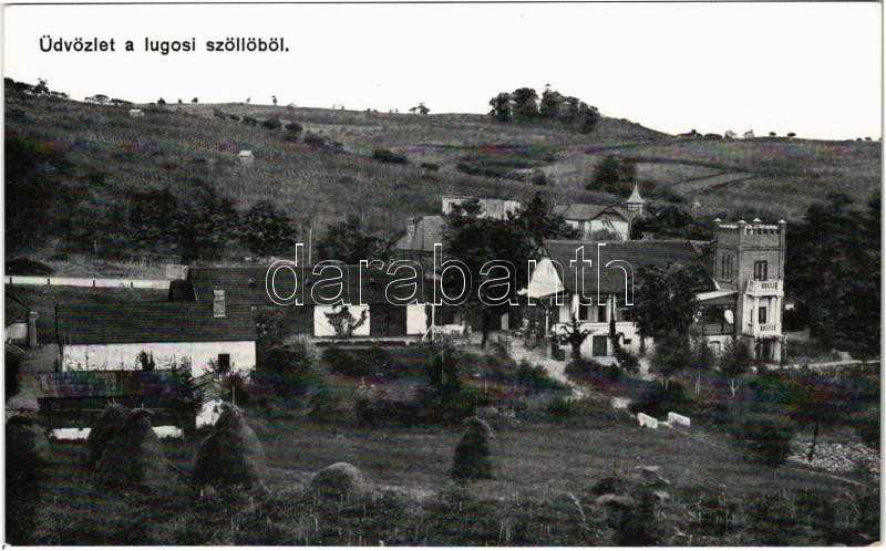 Lugos, Lugoj; Szőlőgazdaság és kastély. Naschitz László cs. és kir. fhg. udv. kamara fényképész / vineyards, castle