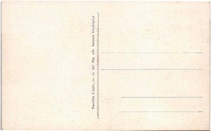 Lugos, Lugoj; Szőlőgazdaság és kastély. Naschitz László cs. és kir. fhg. udv. kamara fényképész / vineyards, castle - Image 2