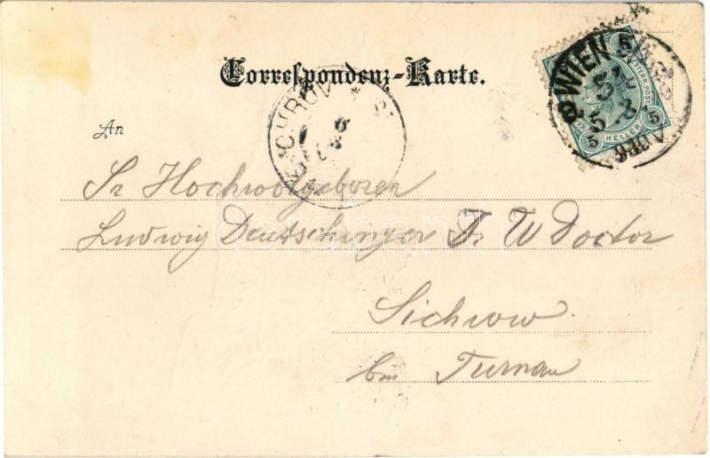 Wien, Vienna, Bécs XVIII. Währing, A. Fischbach's Etablissement 'zum wilden Mann', Grosser Concertssaal und Prachtgarden. Währingerstrasse 85. / restaurant, concert hall, garden, interior. Josef Eberle Art Nouveau, floral (fa) - Image 2