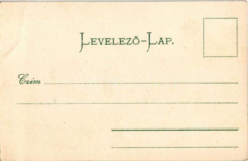 J. & G. Hagenbeck's Malabaren, Indien / human zoo, circus, Indian people - Image 2